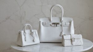 Read more about the article The Best Winter Handbags and Accessories for Women