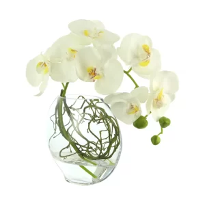 https://www.wayfair.com/decor-pillows/pdp/mercury-row-orchid-arrangement-in-round-glass-vase-with-vines-mcrw8401.html?piid=94078649&auctionId=671e6edf-22fe-45d5-affa-dc9e882a731d