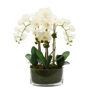 https://www.wayfair.com/decor-pillows/pdp/freeport-park-organic-modern-orchid-arrangement-w008118801.html