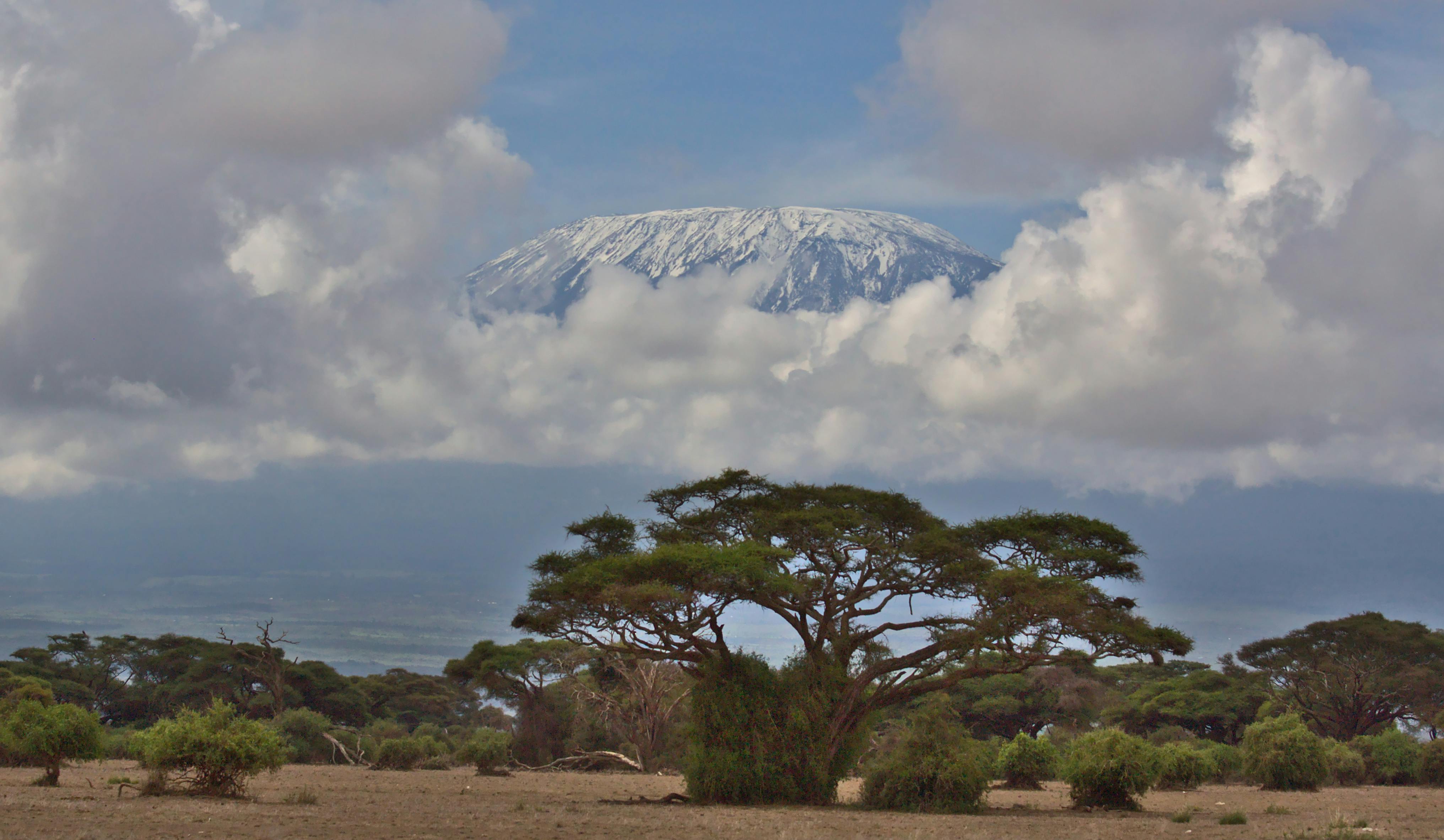 Read more about the article  How to Hike Mt. Kilimanjaro for Beginners