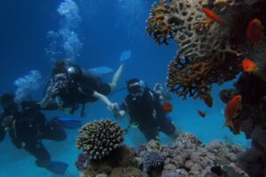 Read more about the article Best Scuba Diving Holiday Locations