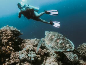 Read more about the article Scuba Diving the Blue Hole in Belize