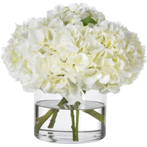 https://www.wayfair.com/decor-pillows/pdp/diane-james-home-white-hydrangeas-in-glass-cylinder-vase-dijh1042.html